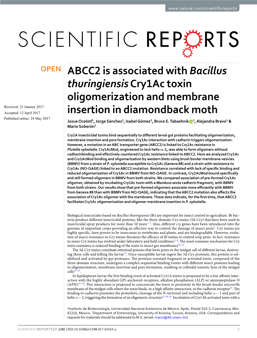 ABCC2 Is Associated with Bacillus Thuringiensis Cry1ac Toxin