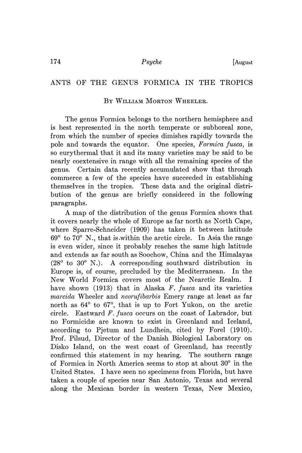 Ants of the Genus Formica in the Tropics by Willam Morton Wheeler