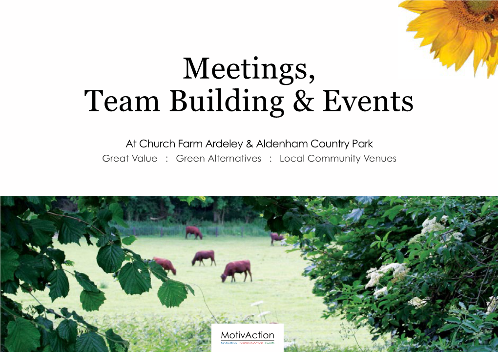 Meetings, Team Building & Events