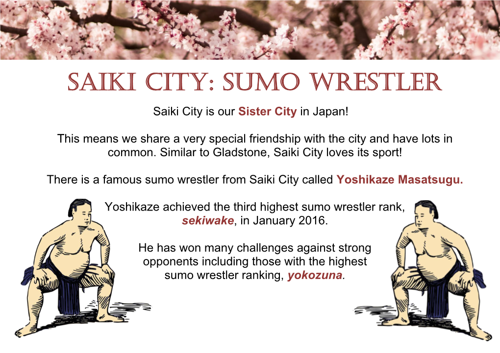 Saiki City: Sumo Wrestler