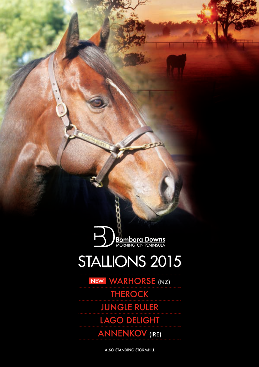 Stallions 2015