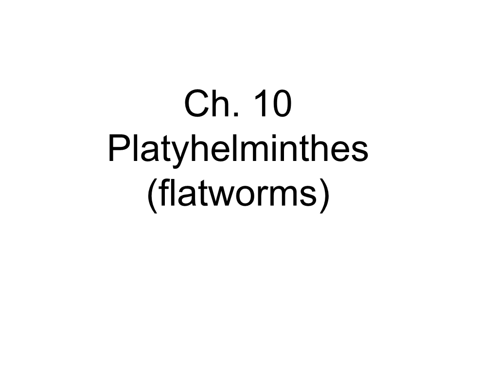 Flatworms) Characteristics