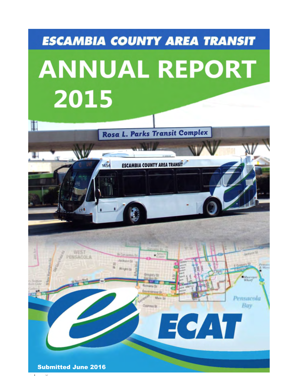 Ecat 2015 Annual Report