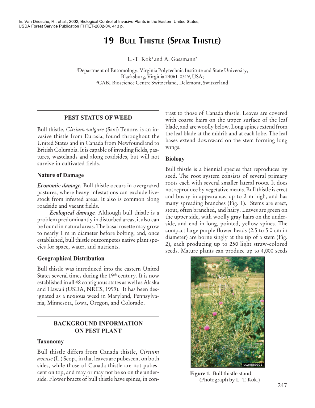 19 BULL THISTLE (SPEAR THISTLE) PEST STATUS of WEED Nature Of