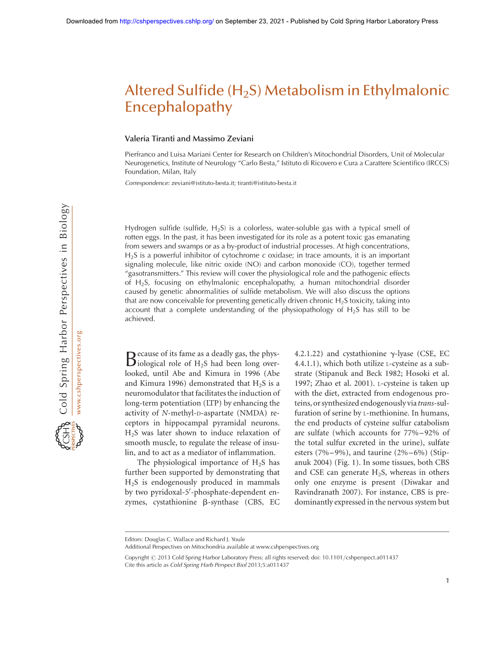 H2S) Metabolism in Ethylmalonic Encephalopathy