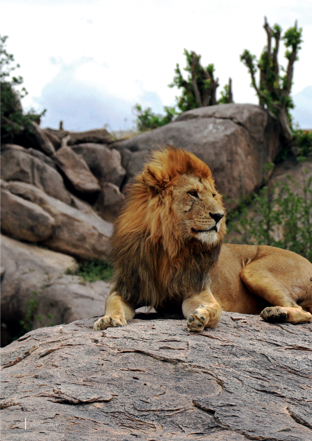 THE ENDLESS PLAINS of the Serengeti