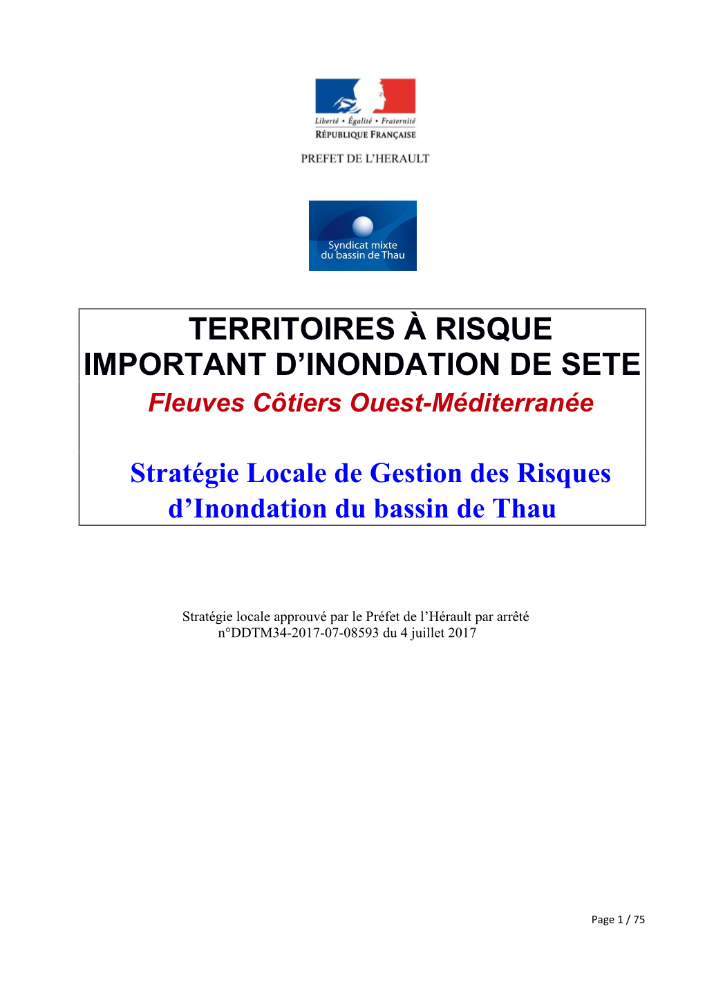 Territoires À Risque Important D'inondation De