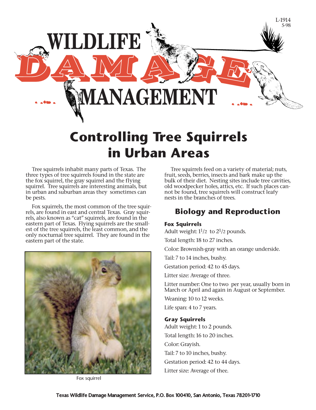 Controlling Tree Squirrels in Urban Areas