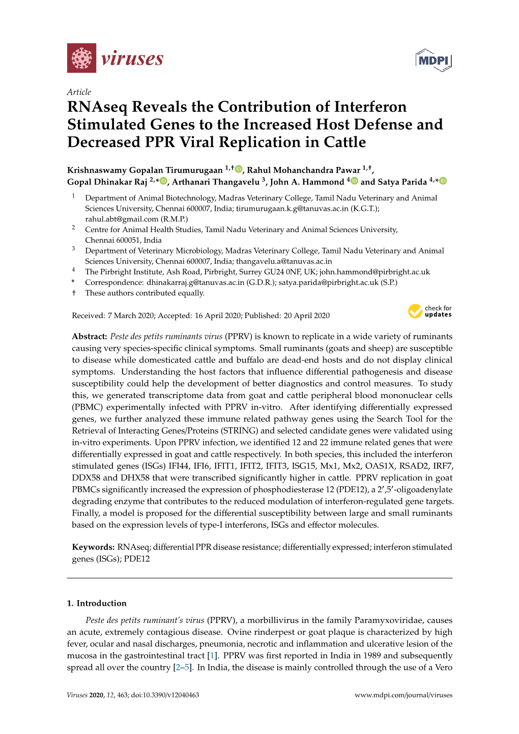 Rnaseq Reveals the Contribution of Interferon Stimulated Genes to the Increased Host Defense and Decreased PPR Viral Replication in Cattle