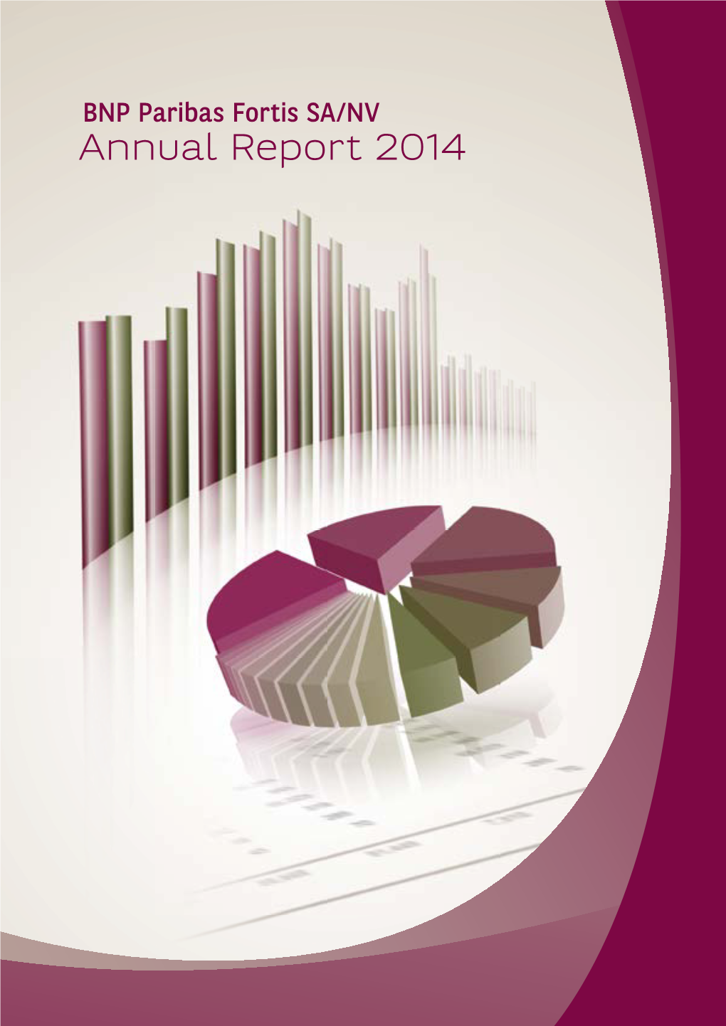 Annual Report 2014 BNP Paribas Fortis SA/NV 23/02/15 11:50