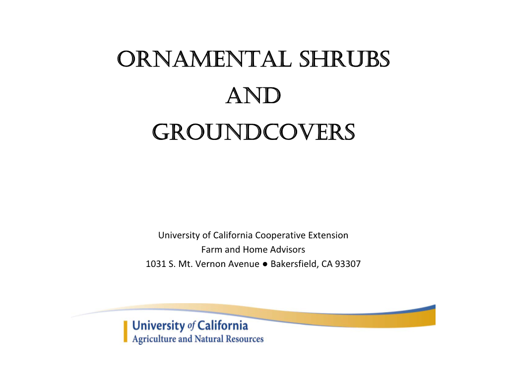 Ornamental Shrubs and Groundcovers