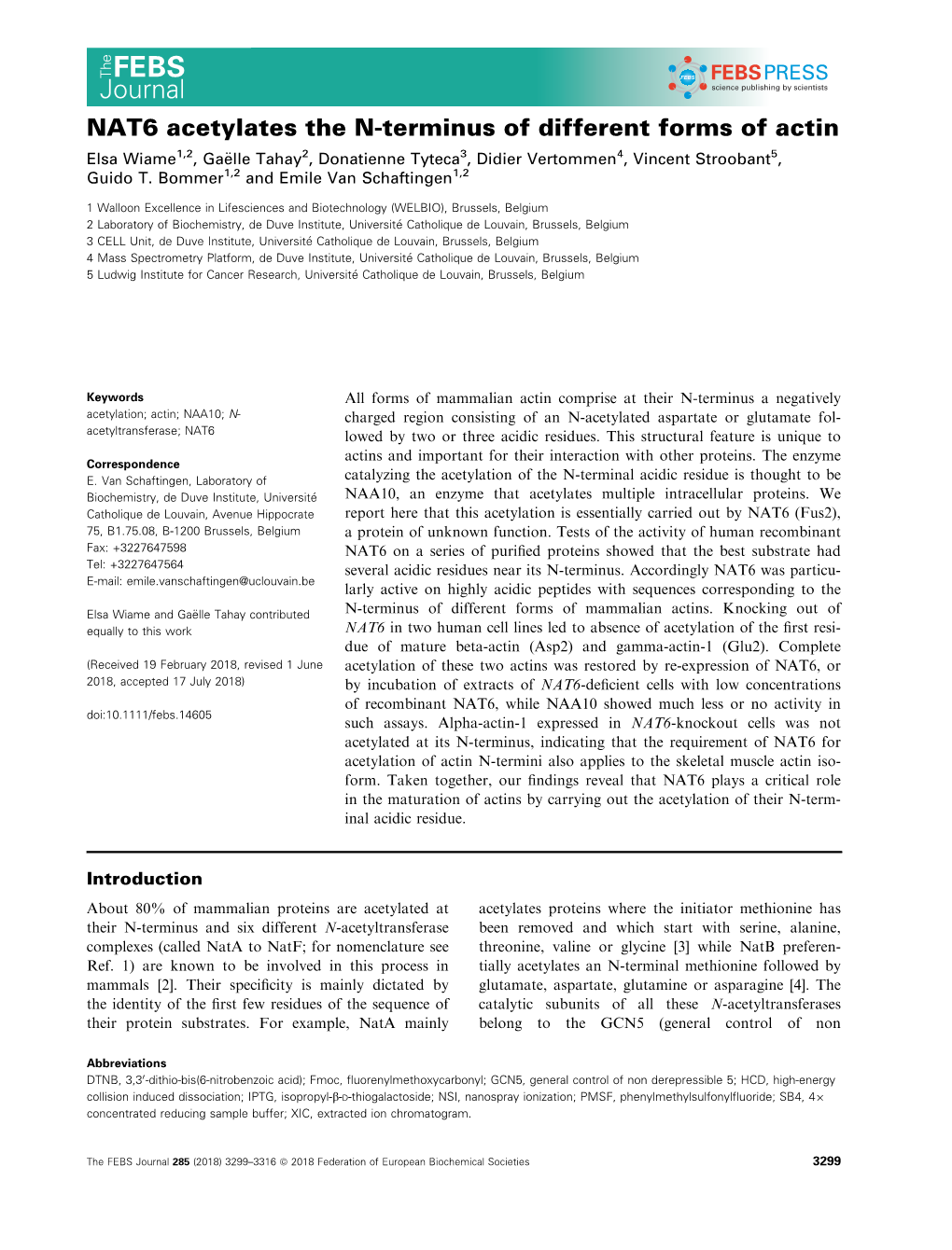 NAT6 Acetylates the N‐Terminus of Different Forms of Actin