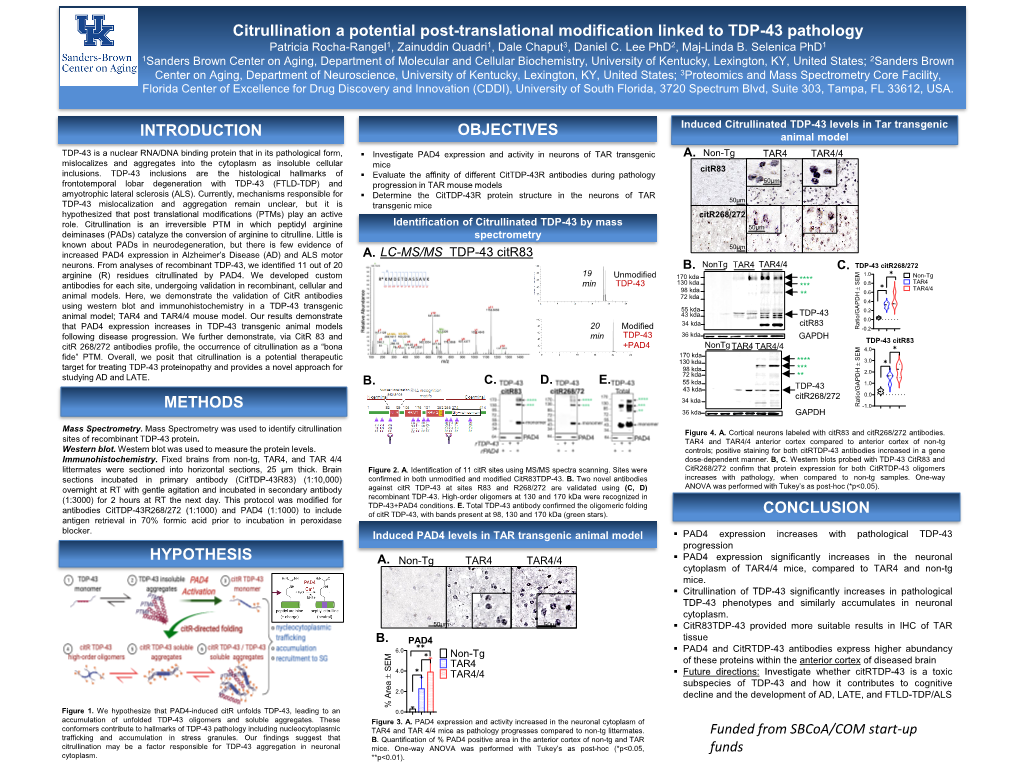 Citrullination a Potential Post-Translational Modification Linked to TDP-43 Pathology Patricia Rocha-Rangel1, Zainuddin Quadri1, Dale Chaput3, Daniel C