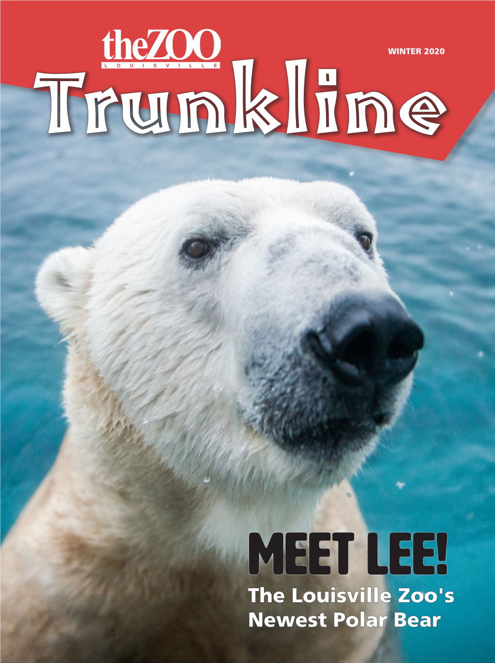 Trunkline- Winter 2020