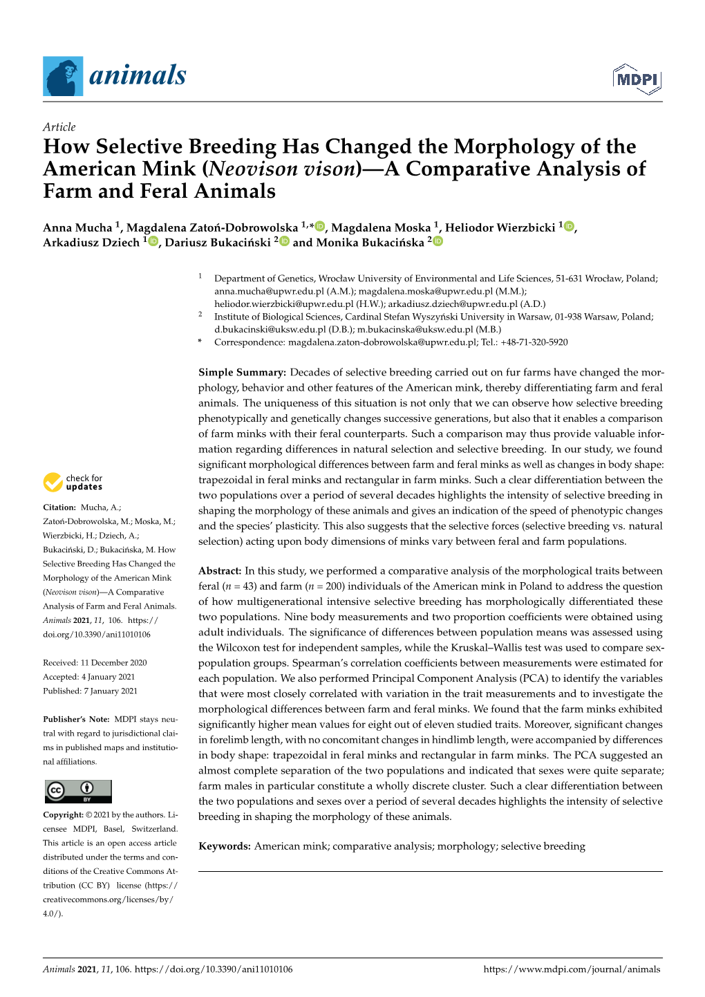 How Selective Breeding Has Changed the Morphology of the American Mink (Neovison Vison)—A Comparative Analysis of Farm and Feral Animals