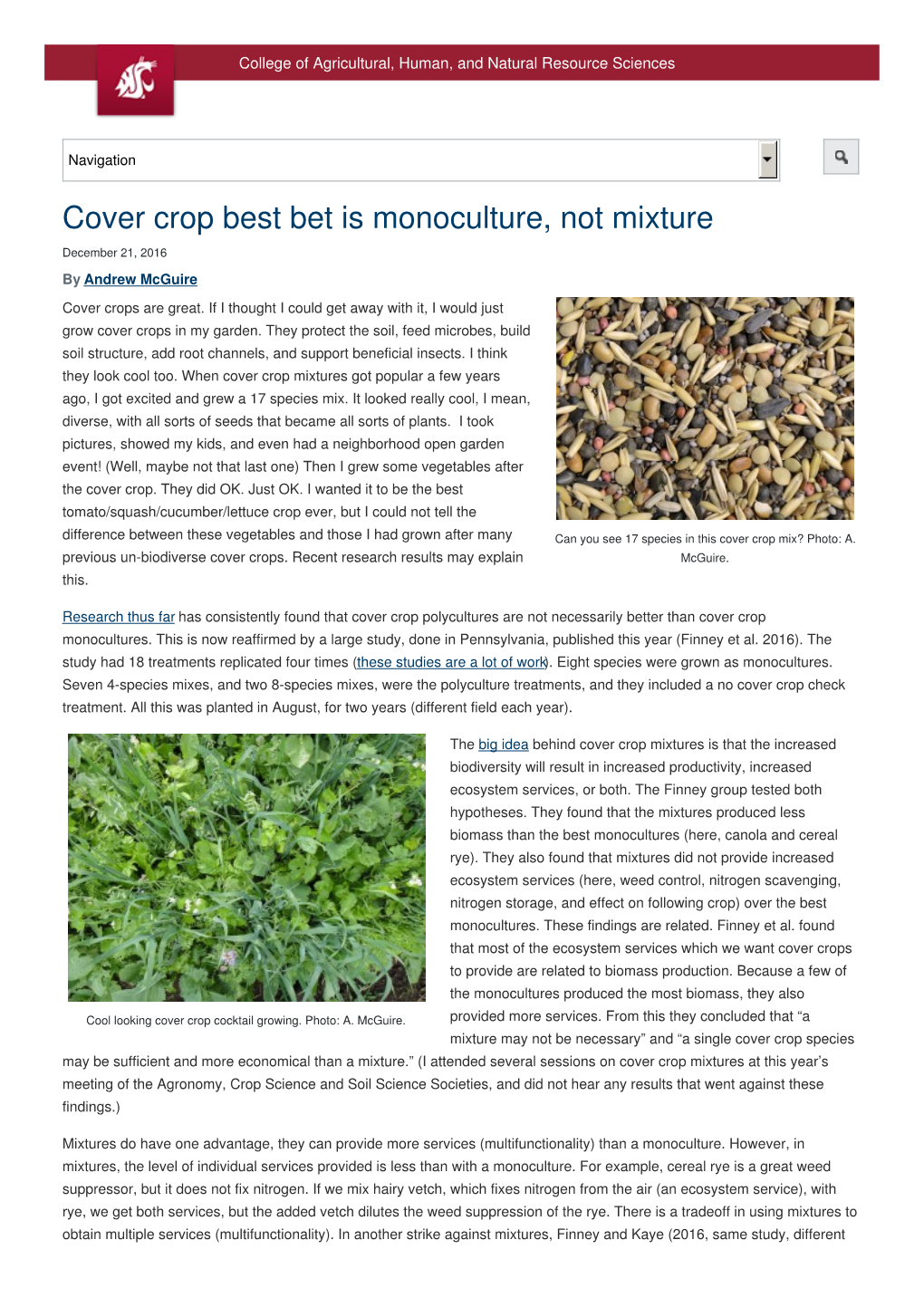 Cover Crop Best Bet Is Monoculture Not Mixture