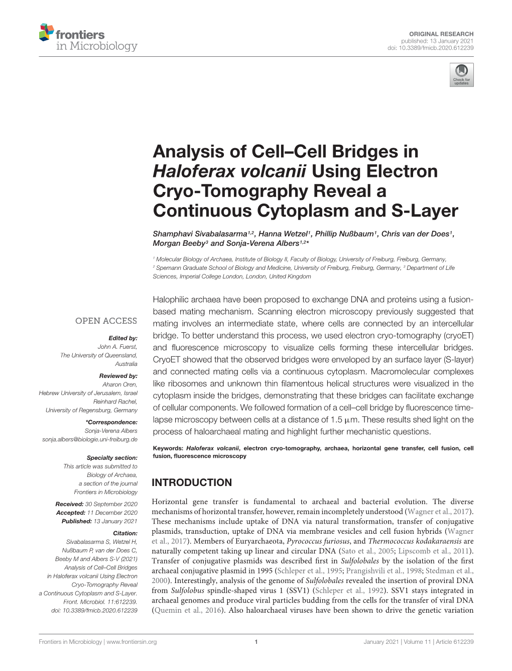 Analysis of Cell–Cell Bridges in Haloferax Volcanii Using Electron Cryo-Tomography Reveal a Continuous Cytoplasm and S-Layer