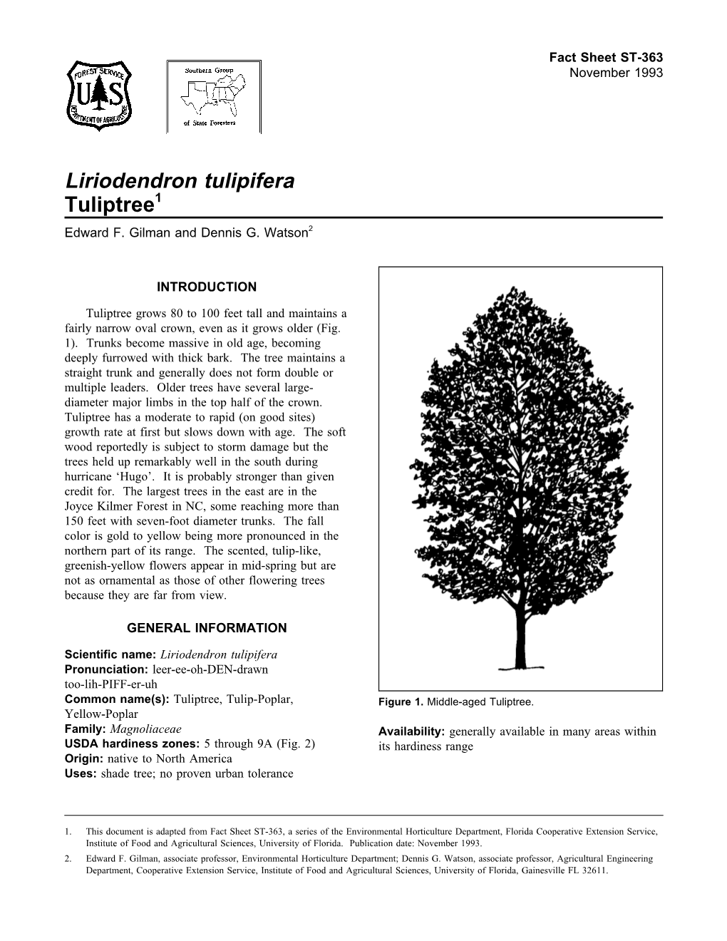 Liriodendron Tulipifera Tuliptree1 Edward F