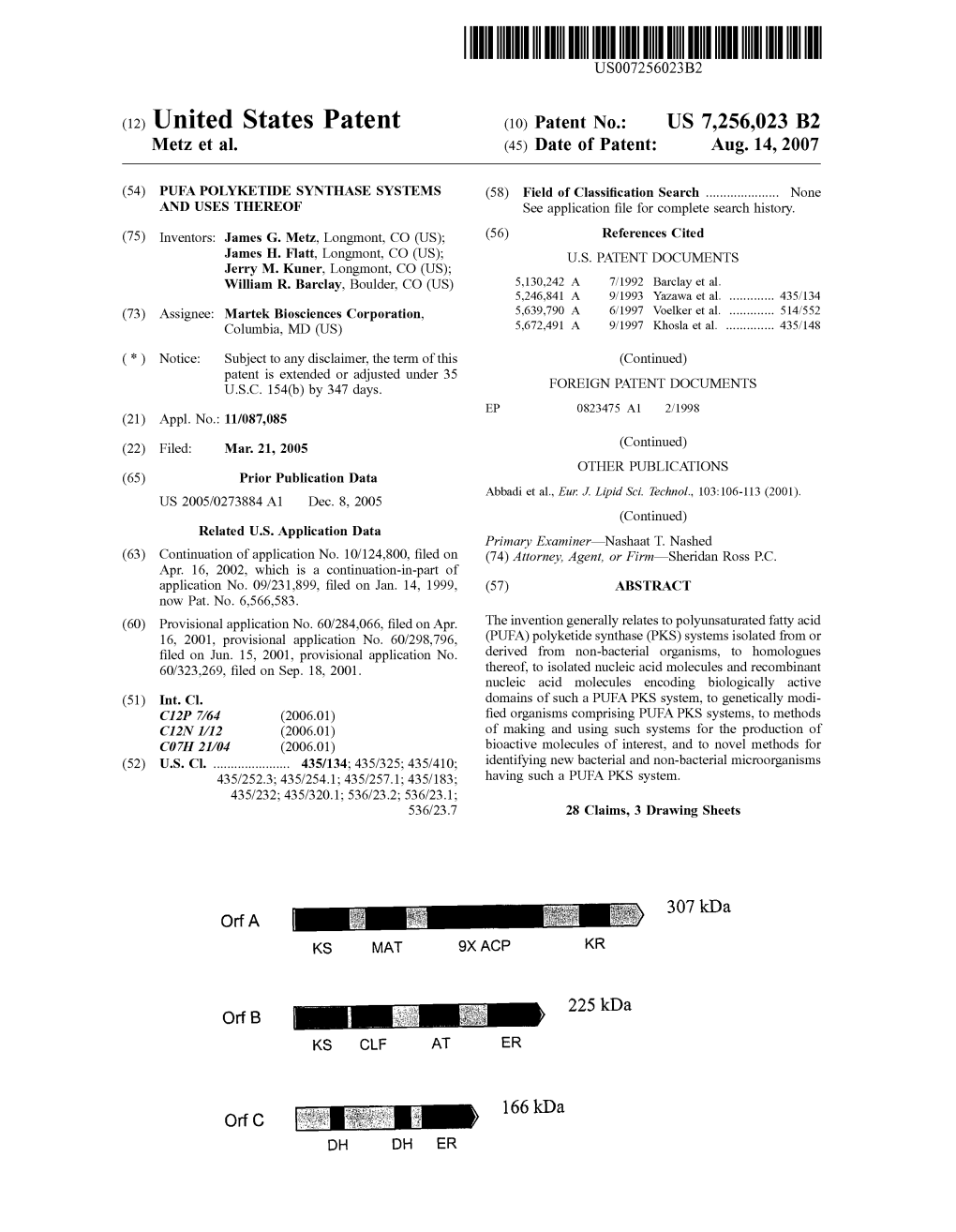 (12) United States Patent (10) Patent No.: US 7.256,023 B2 Metz Et Al