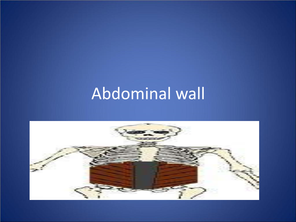 Anterior Abdominal Wall