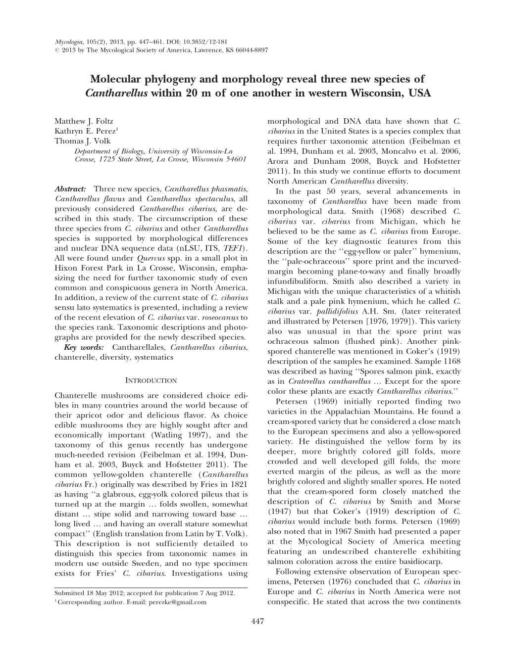 Molecular Phylogeny and Morphology Reveal Three New Species of Cantharellus Within 20 M of One Another in Western Wisconsin, USA