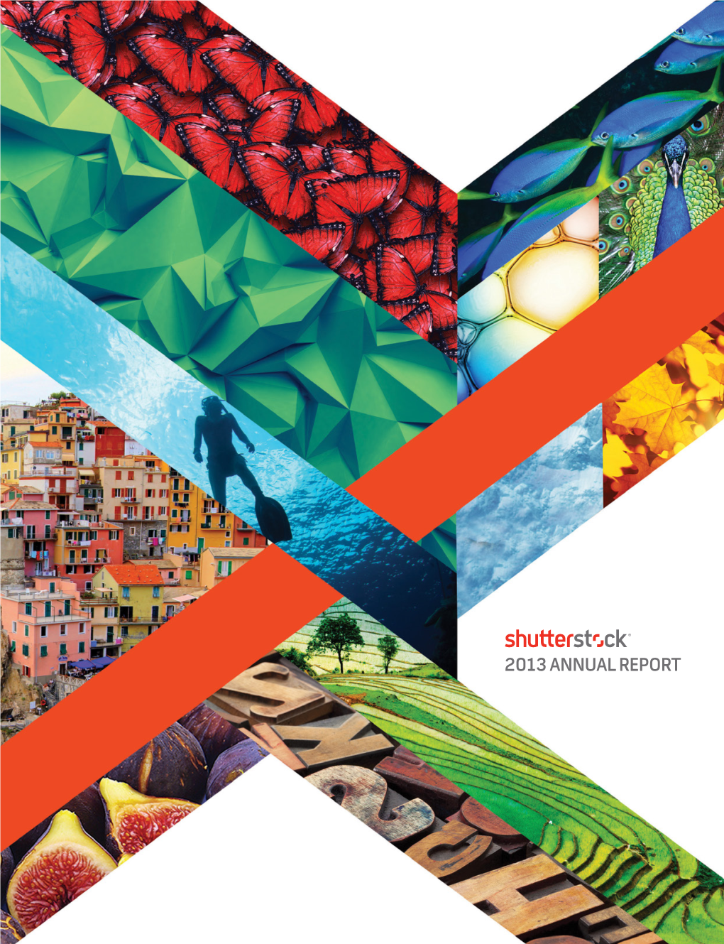 2013 Annual Report