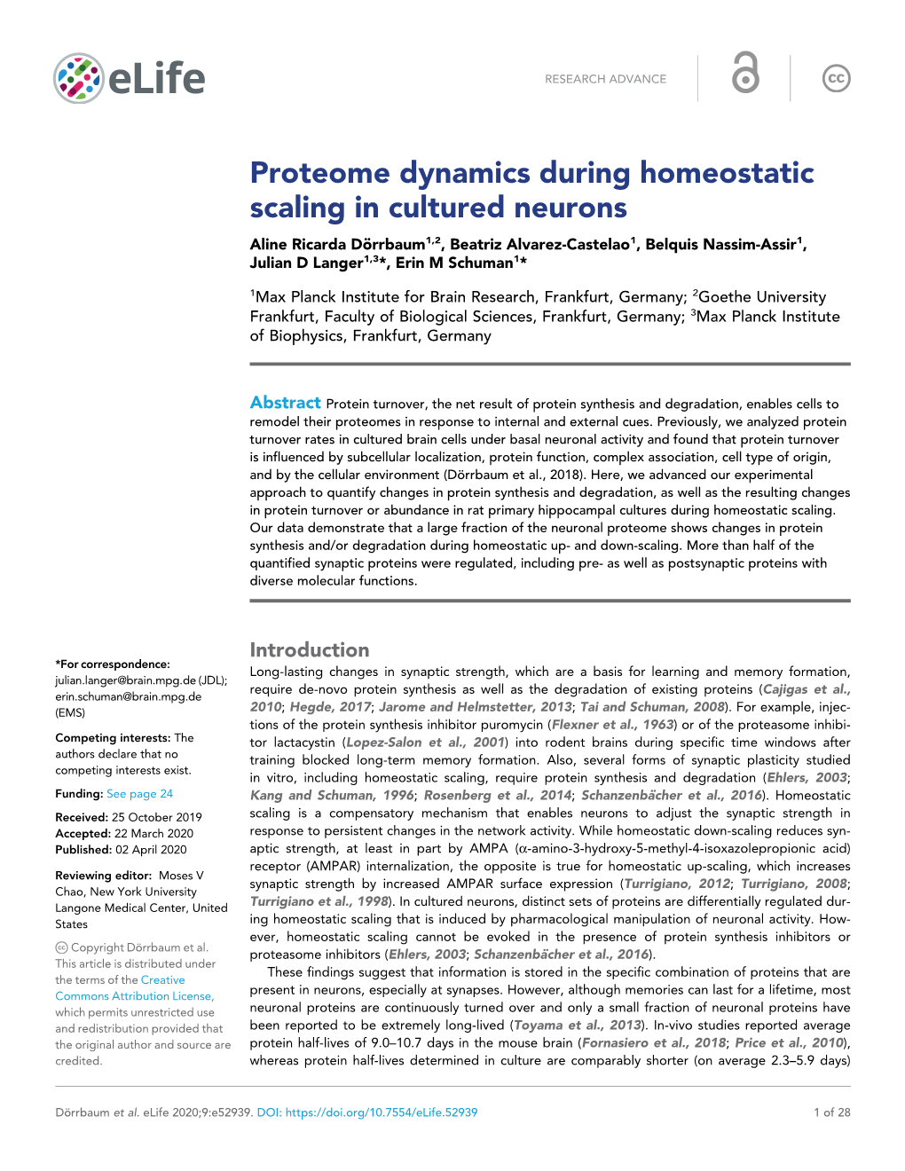 Proteome Dynamics During Homeostatic Scaling in Cultured