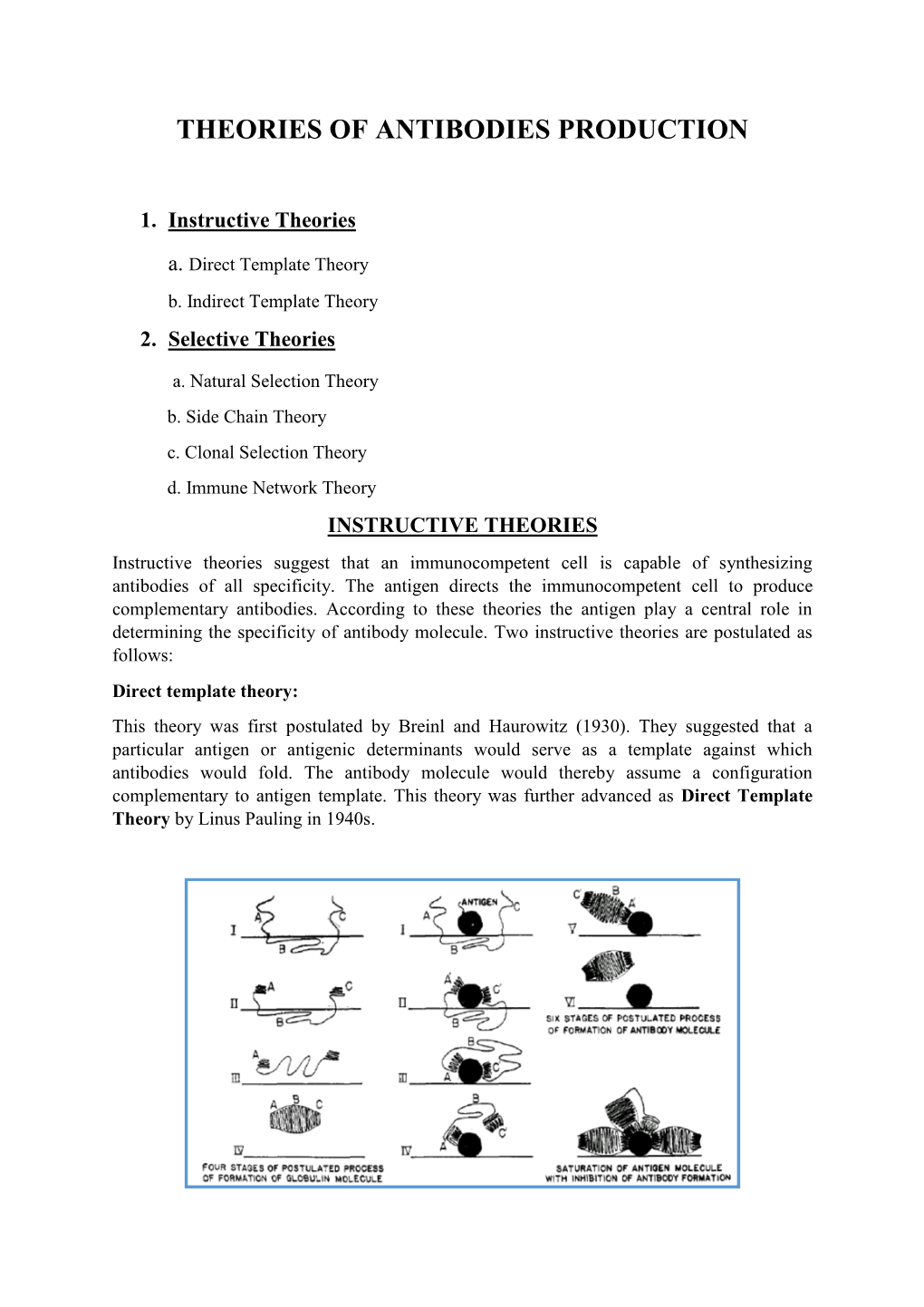 Theories of Antibodies Production