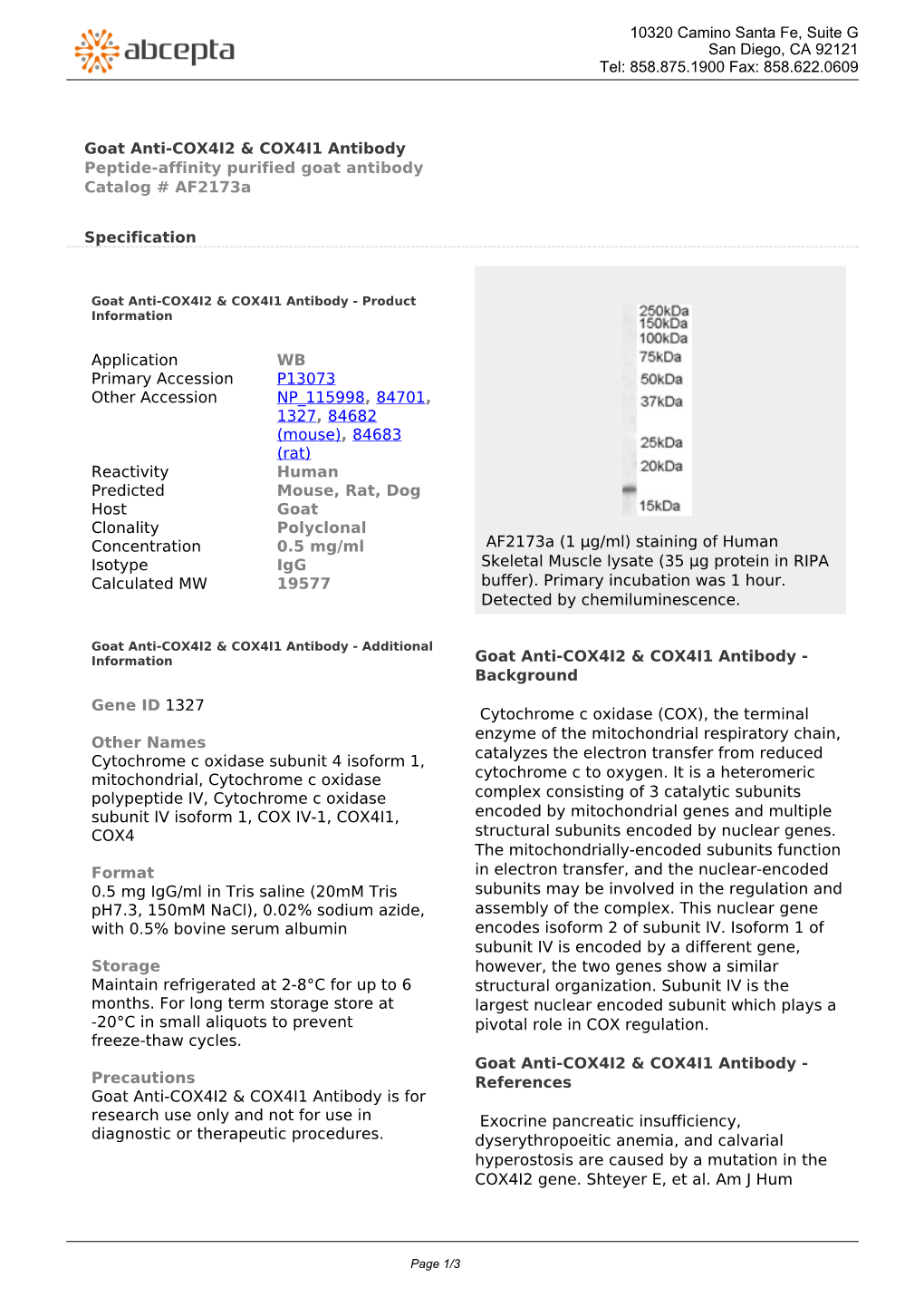 Goat Anti-COX4I2 & COX4I1 Antibody