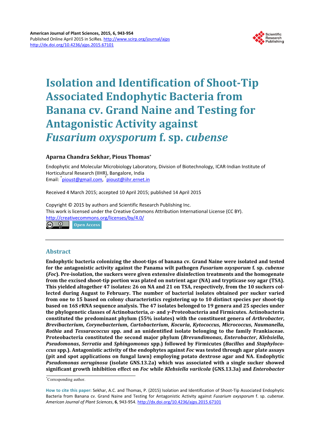 Isolation and Identification of Shoot-Tip Associated Endophytic Bacteria from Banana Cv