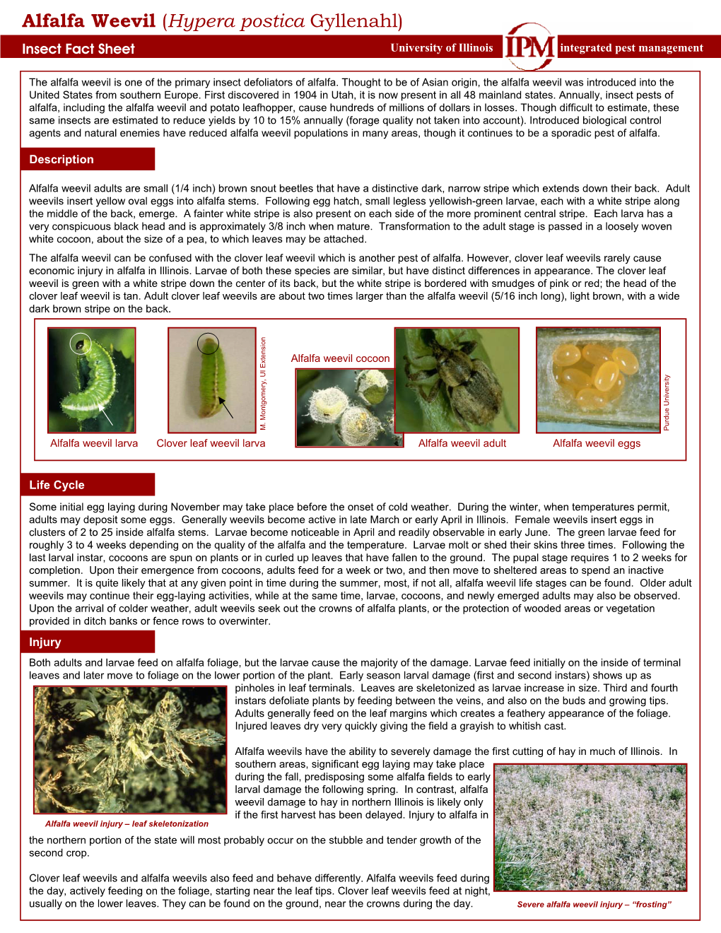 Alfalfa Weevil (Hypera Postica Gyllenahl) Insect Fact Sheet University of Illinois Integrated Pest Management