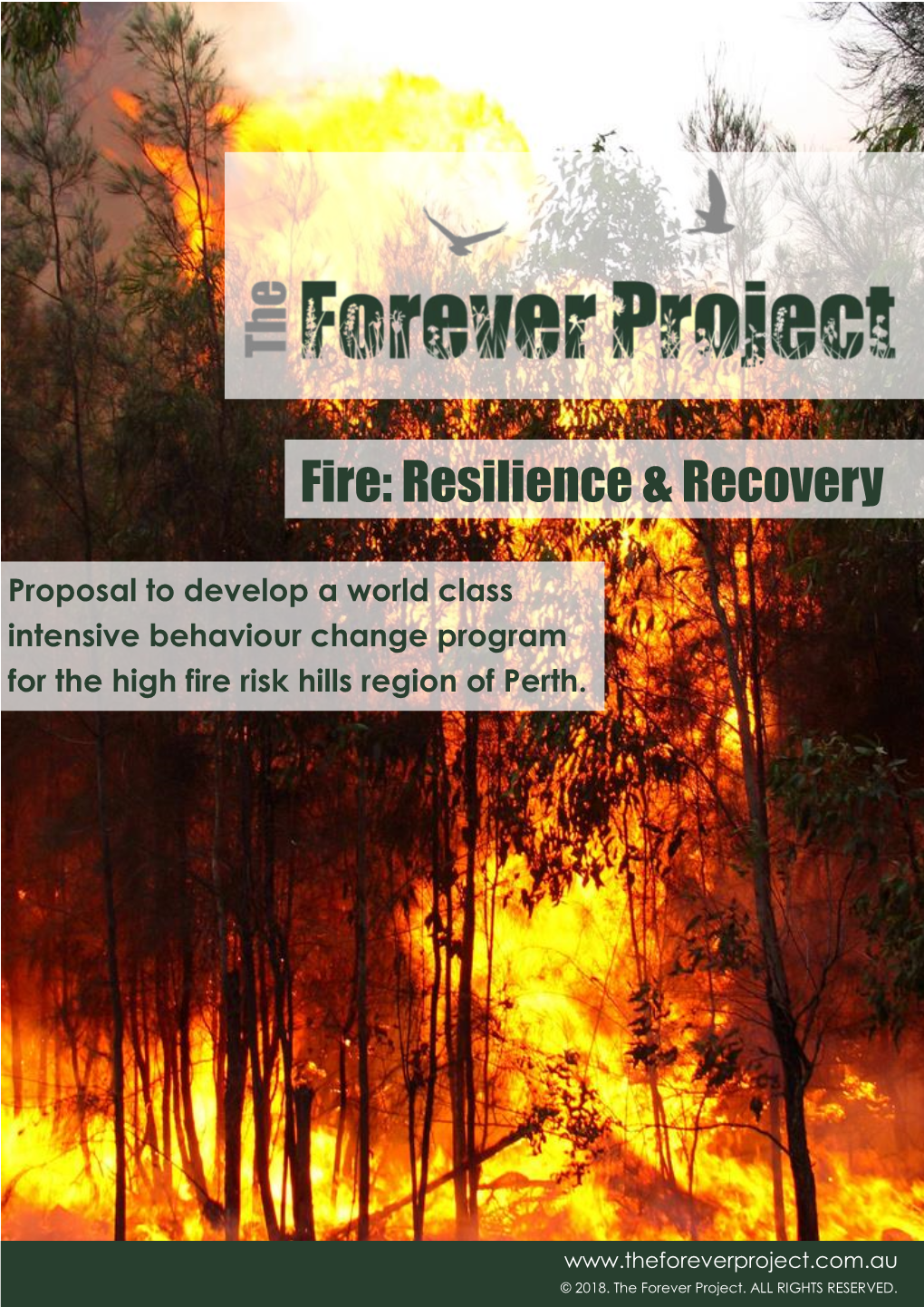 Fire: Resilience & Recovery