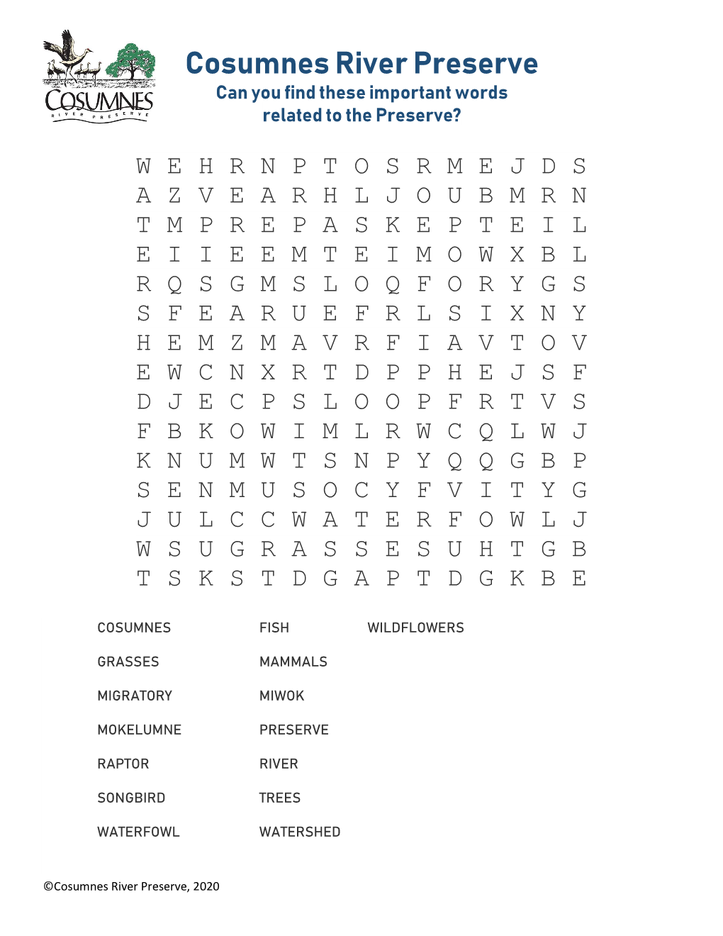 Word Search and Fact Sheet