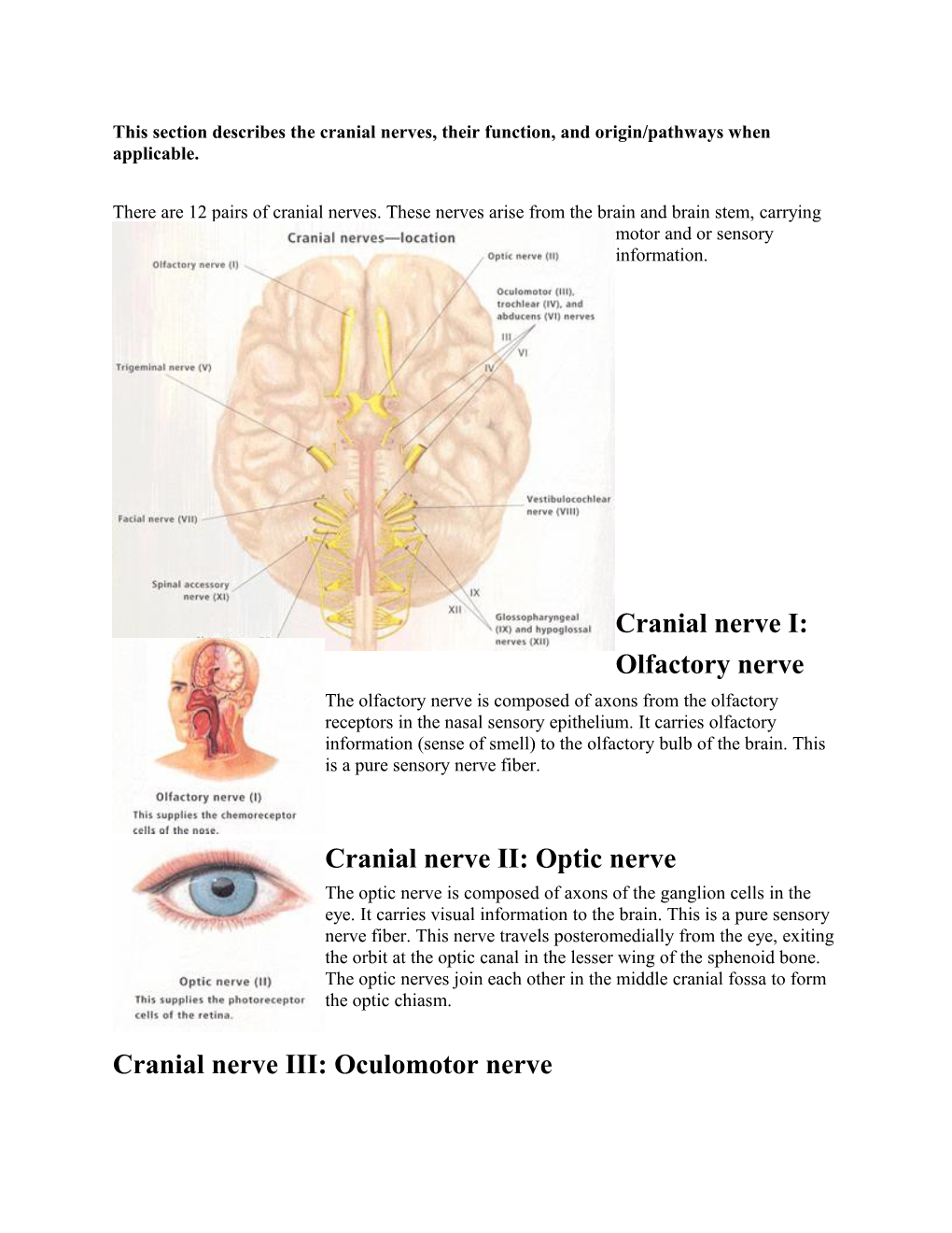 This Section Describes the Cranial Nerves, Their Function, and Origin/Pathways When Applicable