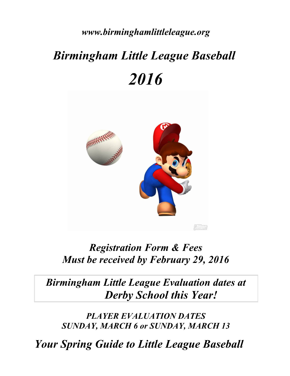 Birmingham Little League Baseball 2000