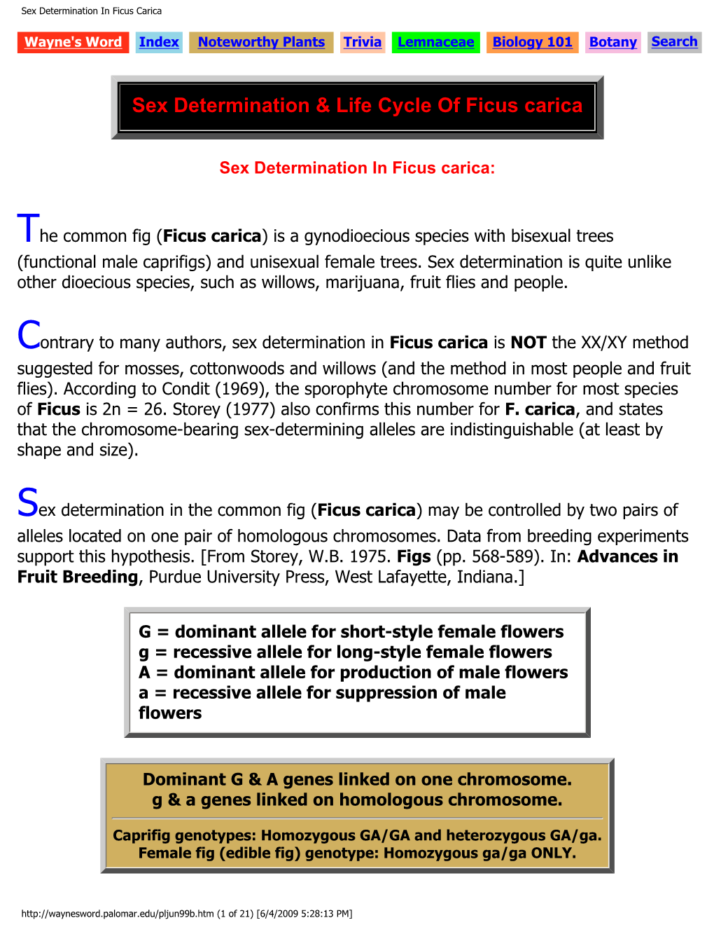 Sex Determination in Ficus Carica