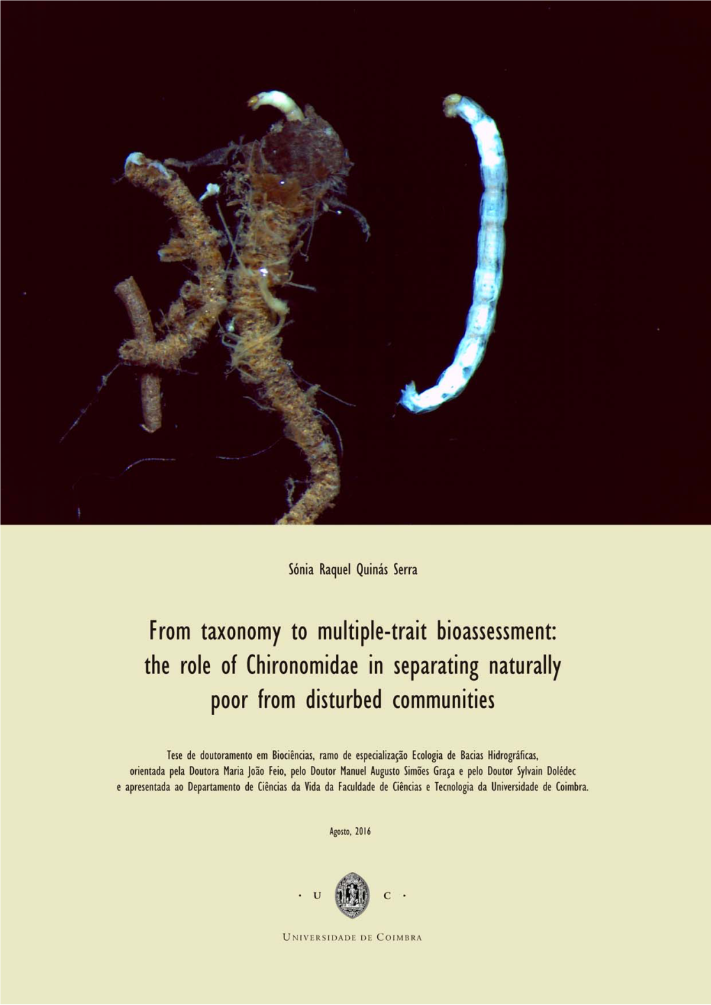 The Role of Chironomidae in Separating Naturally Poor from Disturbed Communities