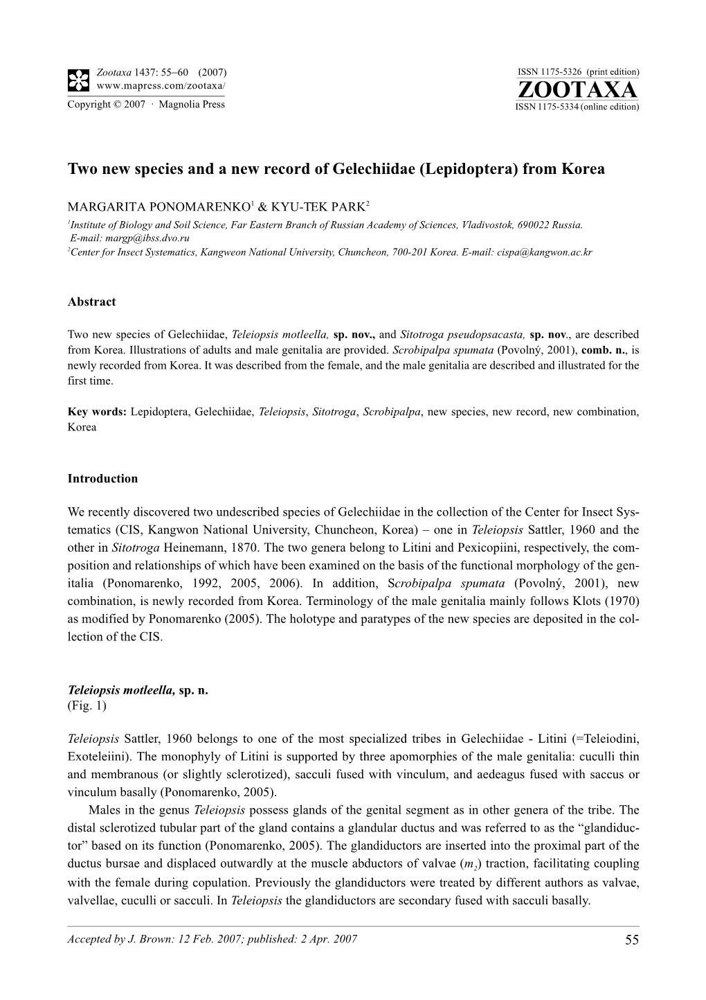 Zootaxa, Two New Species and a New Record of Gelechiidae (Lepidoptera