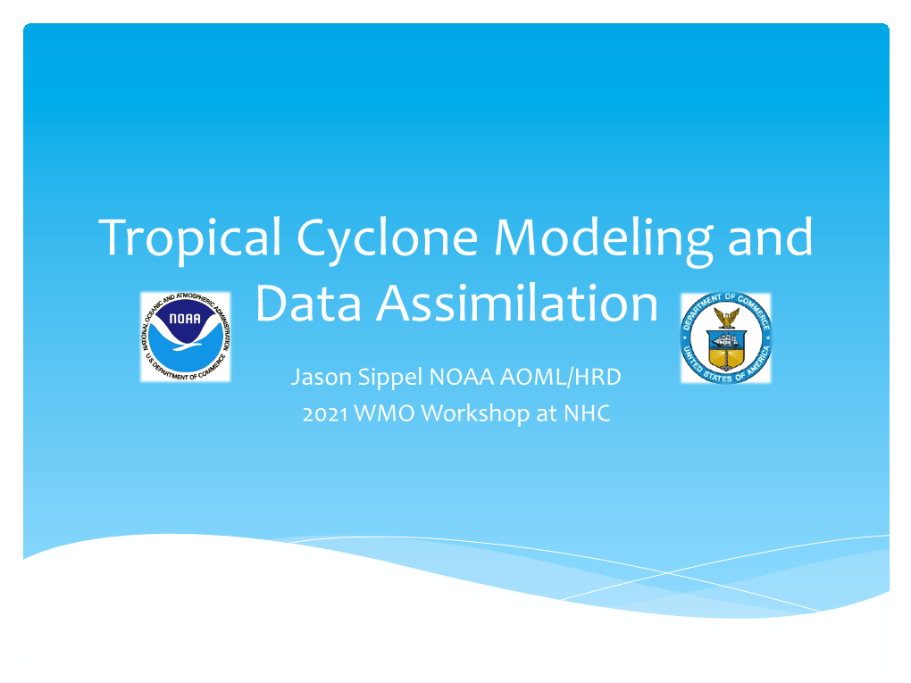 TC Modelling and Data Assimilation