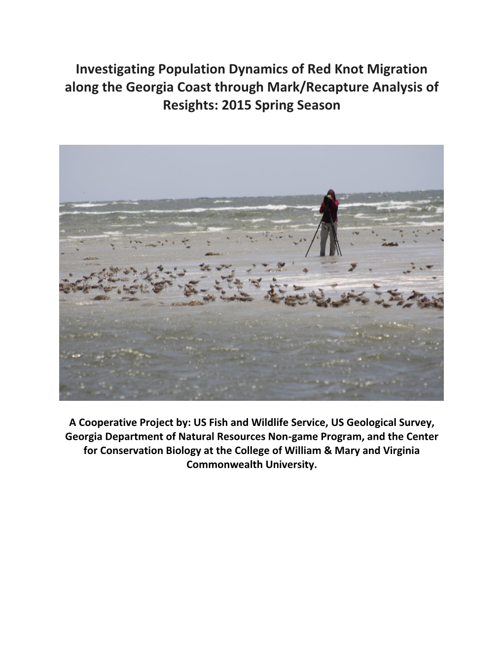 Investigating Population Dynamics of Red Knot Migration Along the Georgia Coast Through Mark/Recapture Analysis of Resights: 2015 Spring Season