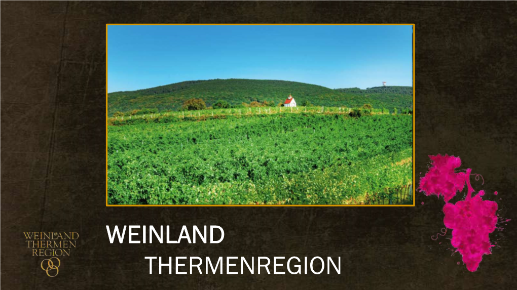 WEINLAND THERMENREGION “Zierfandler Is an Unsung Hero with a Great Potential.”