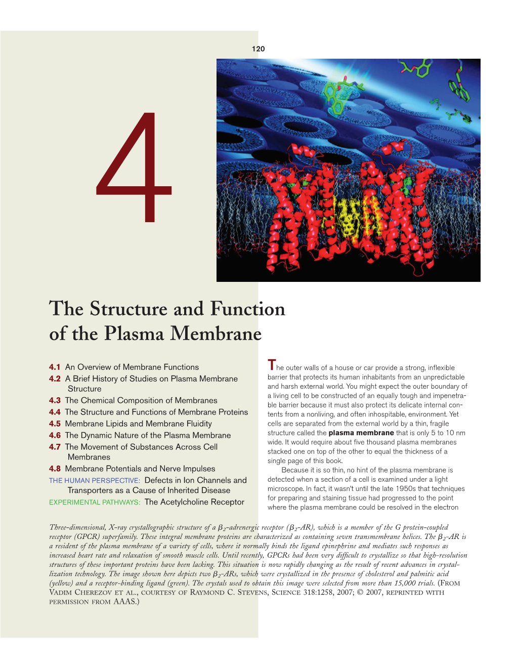 The Structure and Function of the Plasma Membrane