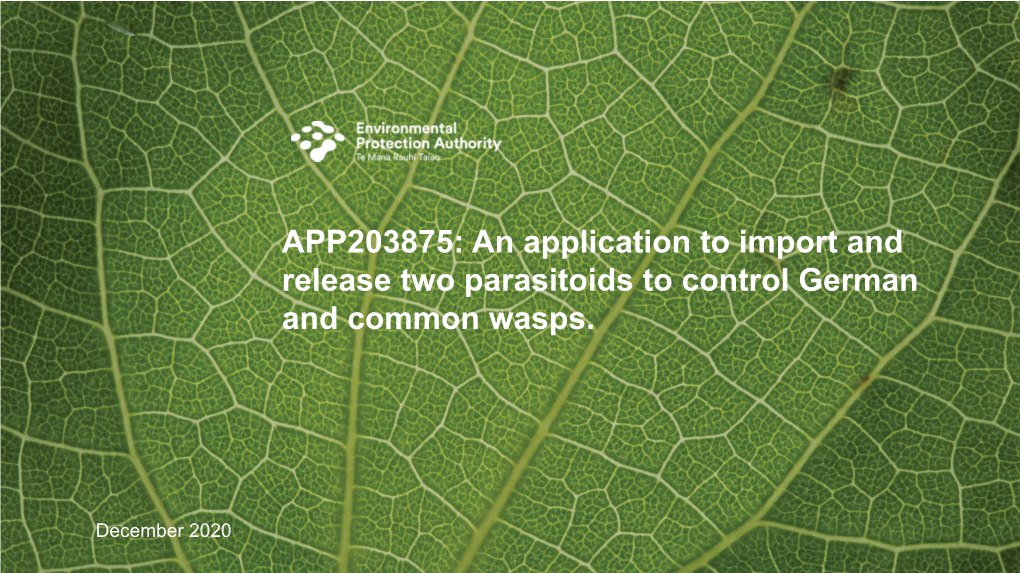 An Application to Import and Release Two Parasitoids to Control German and Common Wasps