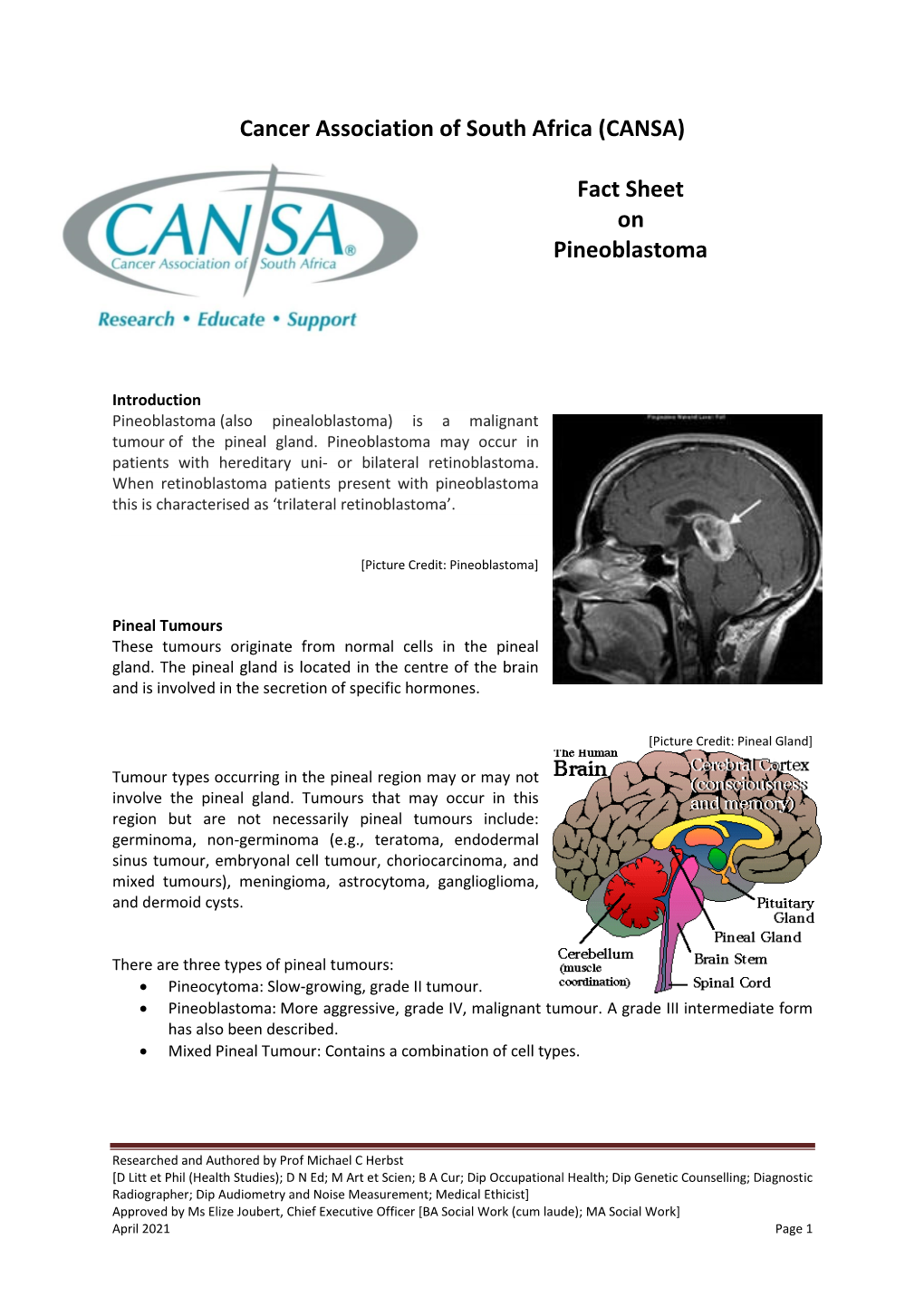 Fact Sheet on Pineoblastoma