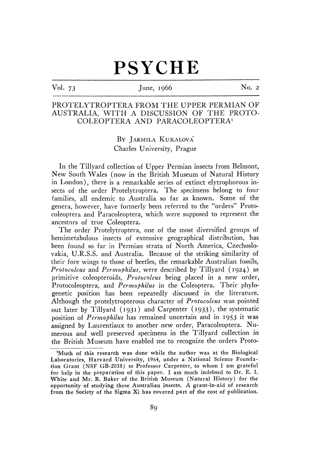 Protelytroptera from the Upper Permian of Australia, with a Discussion of the Protocoleoptera and Paracoleoptera