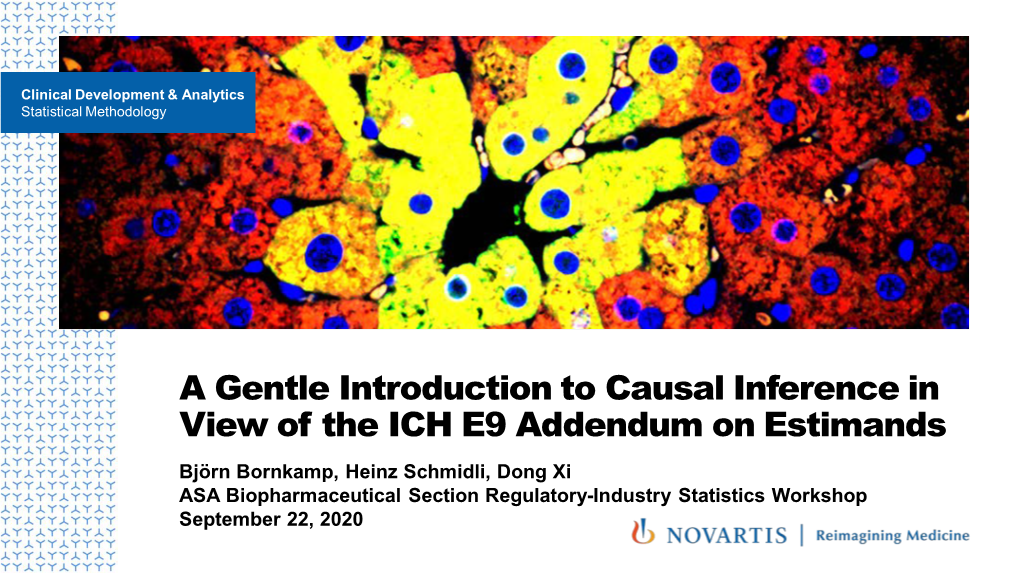 Introduction to Causal Inference