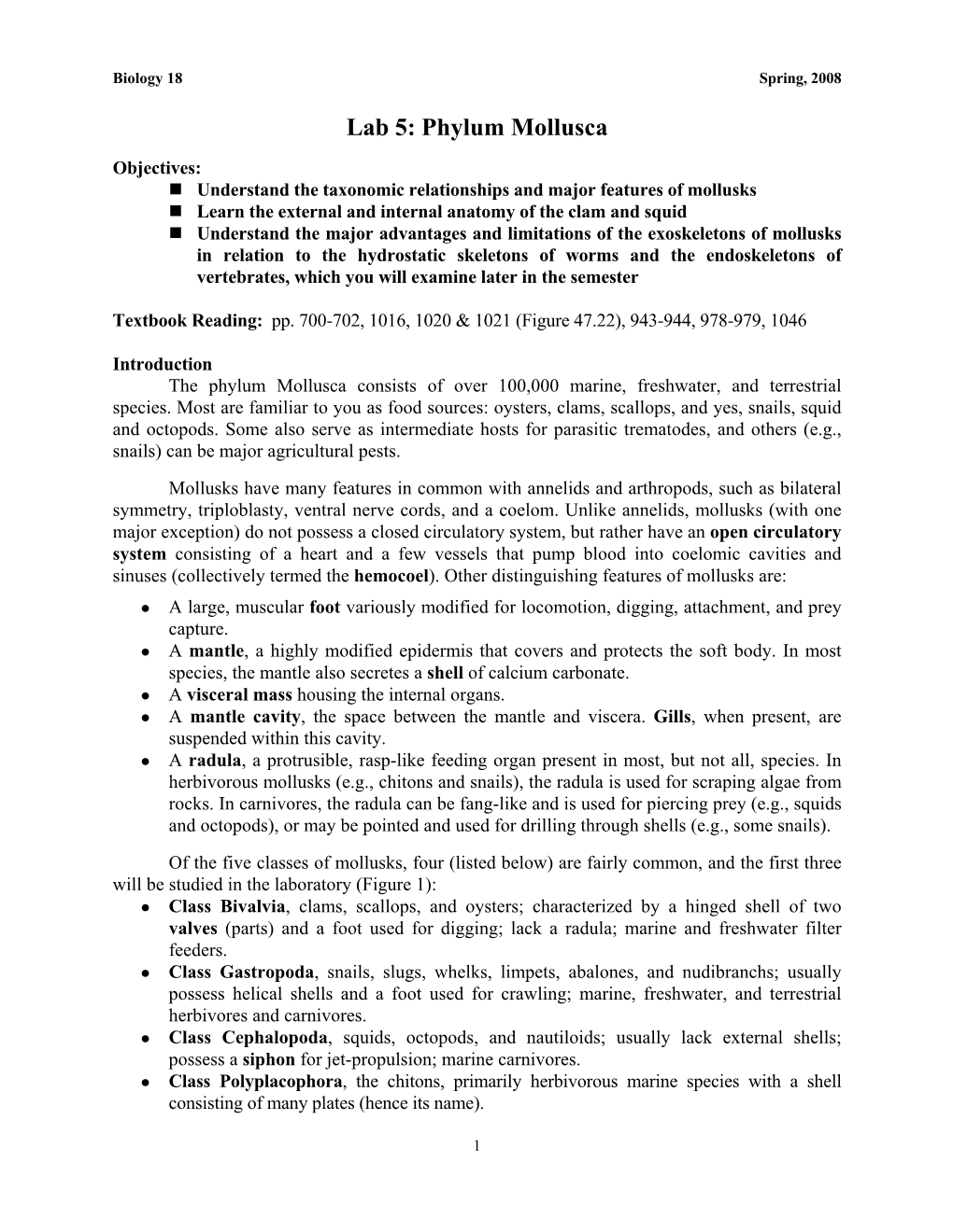 Lab 5: Phylum Mollusca