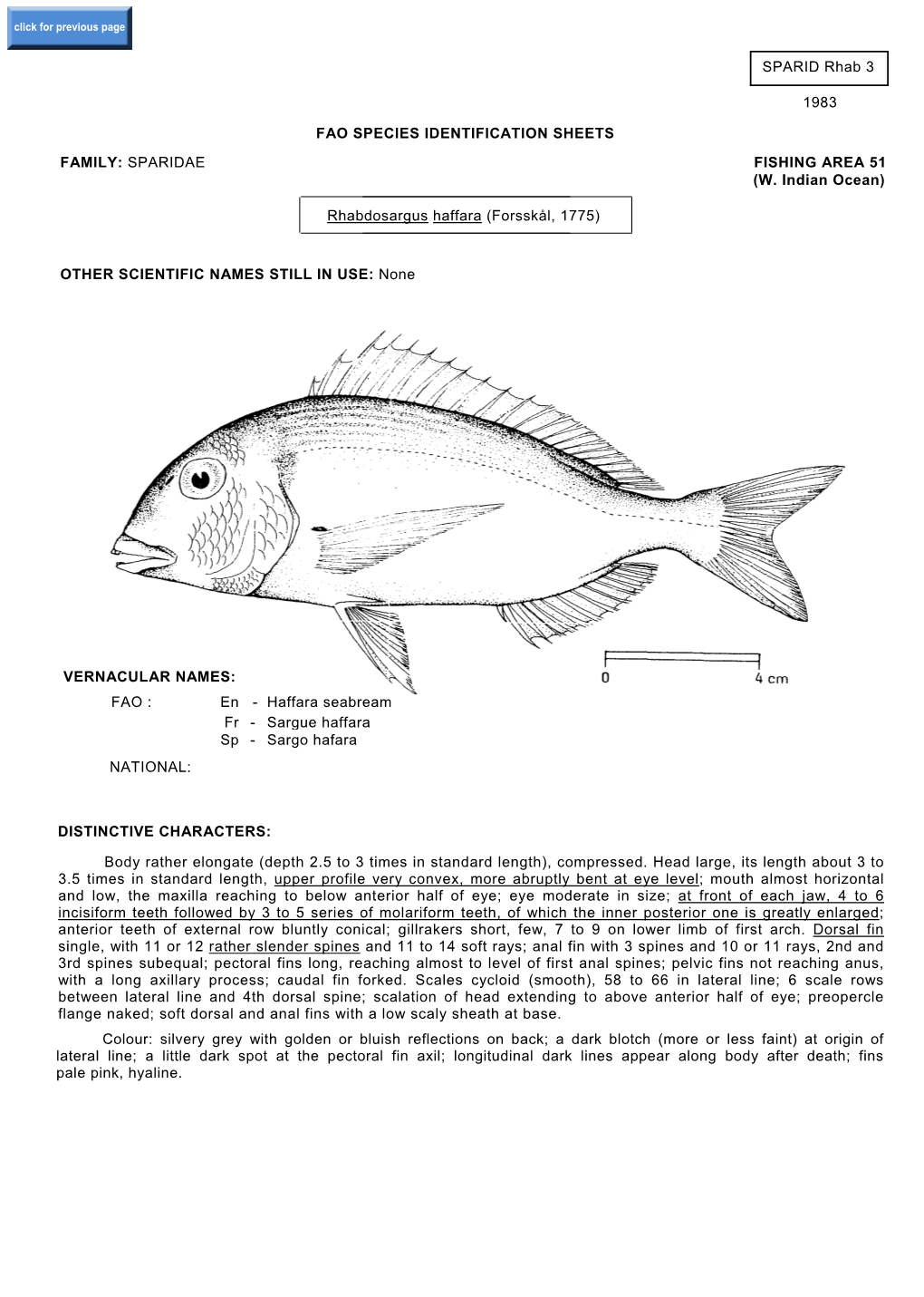 SPARID Rhab 3 1983 FAO SPECIES IDENTIFICATION SHEETS FAMILY: SPARIDAE FISHING AREA 51 (W. Indian Ocean) Rhabdosargus Haffara