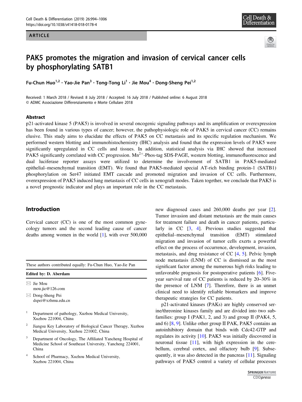 PAK5 Promotes the Migration and Invasion of Cervical Cancer Cells by Phosphorylating SATB1