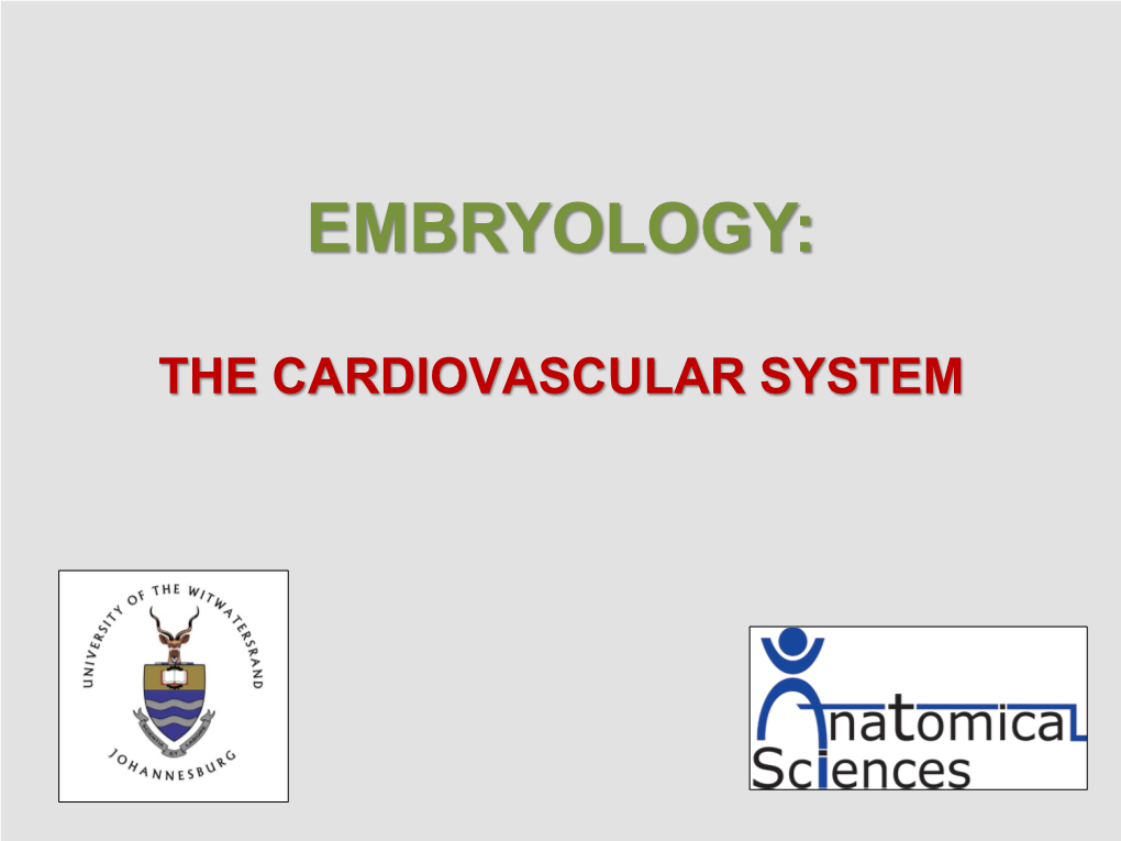 THE CARDIOVASCULAR SYSTEM the Picture Shows the Tranverse Section of the Embryo Demonstrating the Formation of the Angioblastic Cords